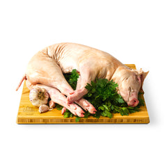 Leitão Crú - 9,98€/kg (1/4, meio e inteiro) - CASA DAS CARNES